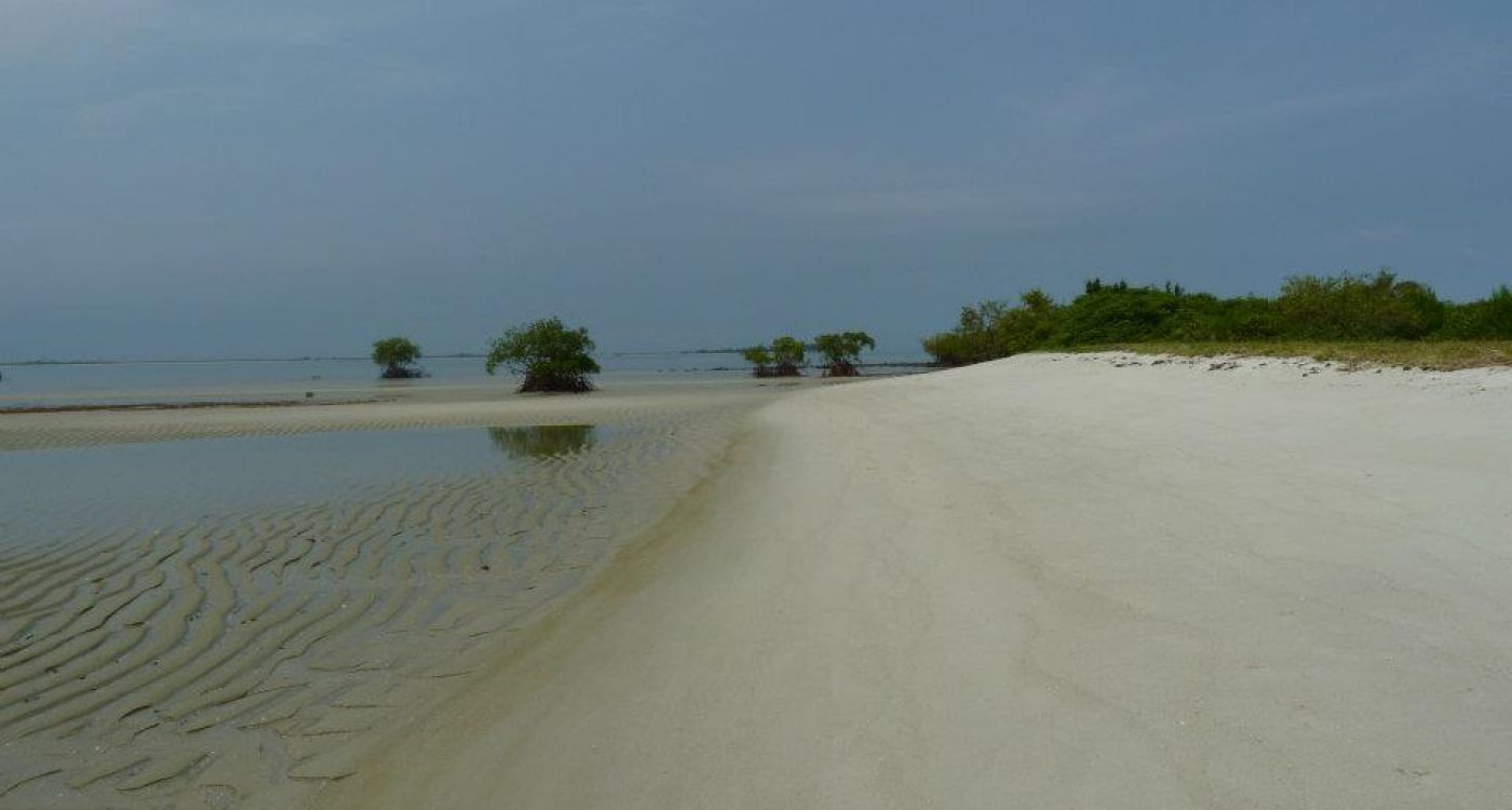 Turtle island - Sierra Leone