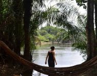 Relax in Tiwai Island