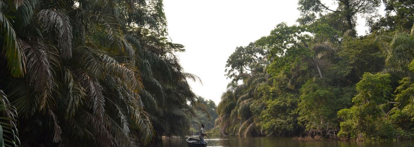 Tiwai island, escursione lungo fiume