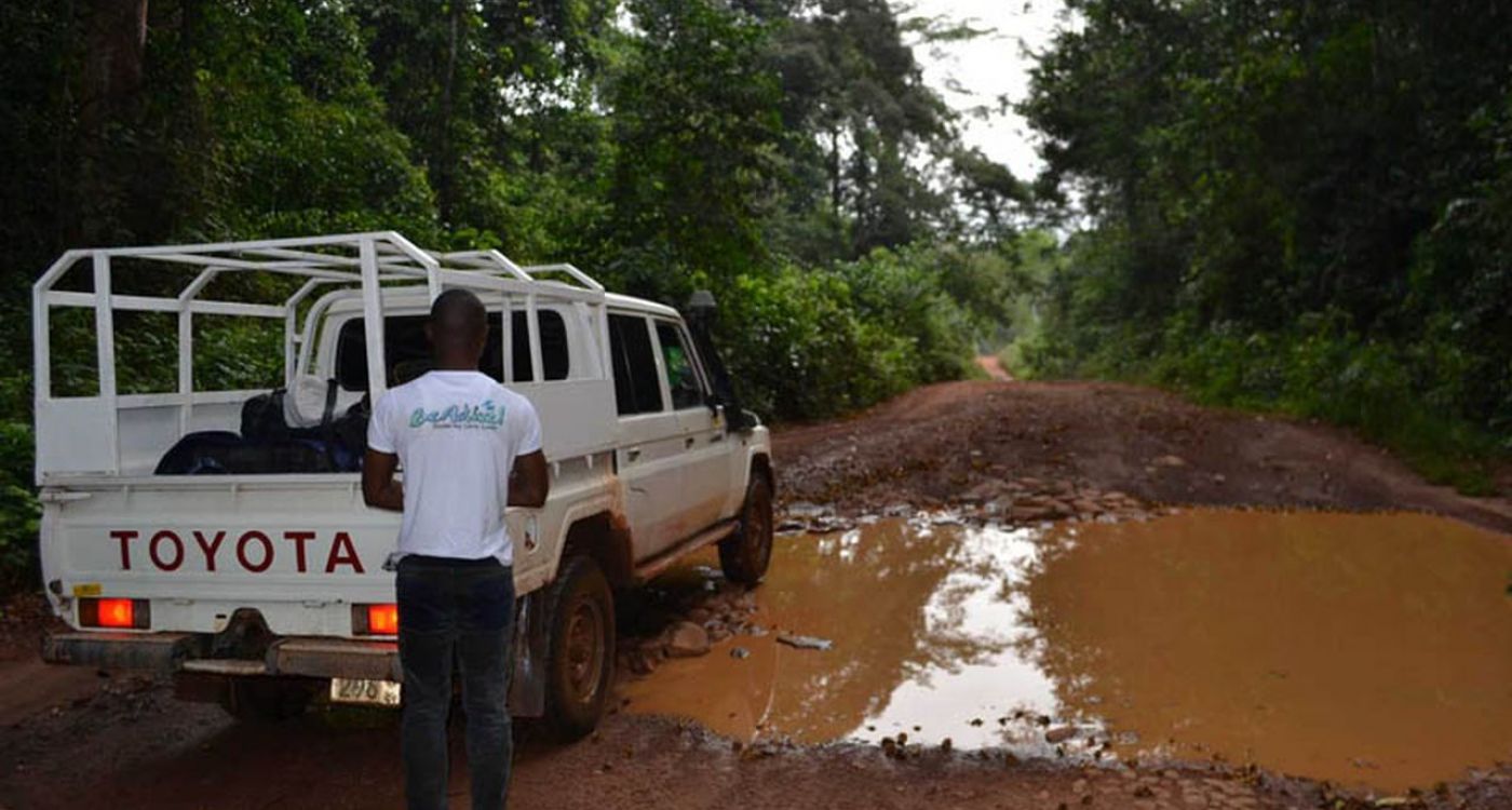 Gola Rainforest, esplorando la foresta pluviale